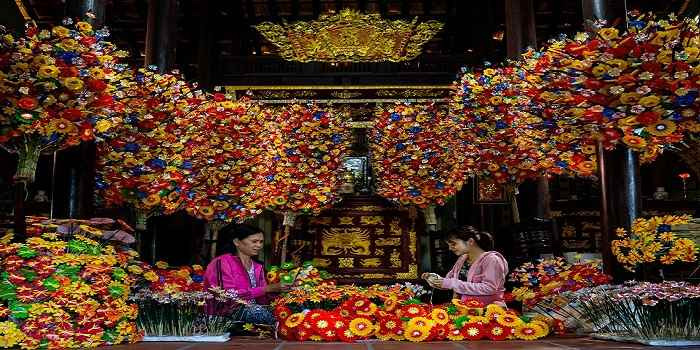 Thăm làng hoa giấy Thanh Tiên có tuổi thọ hơn 300 năm tại Huế